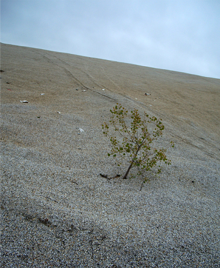 Image of chat pile behind home in Picher, OK. Image by Gina Manders, April 2007.